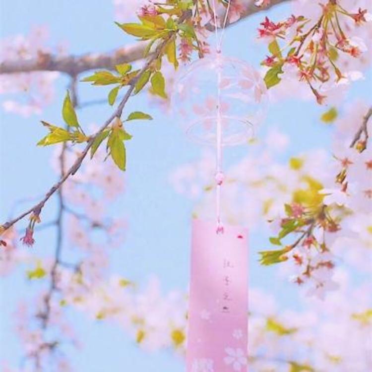 本田大辅（饰 儿玉） - 动画电影国语在线观看 - 网页追剧